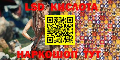 прущие крисы Кингисепп