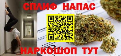 прущие крисы Кингисепп