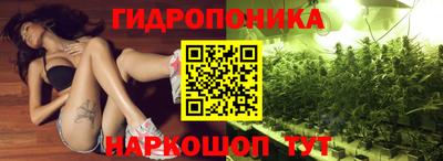 трава Кимры