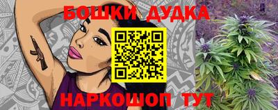 прущие крисы Кингисепп