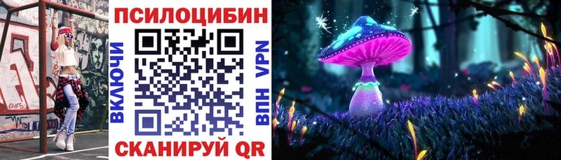 Псилоцибиновые грибы прущие грибы Приморско-Ахтарск