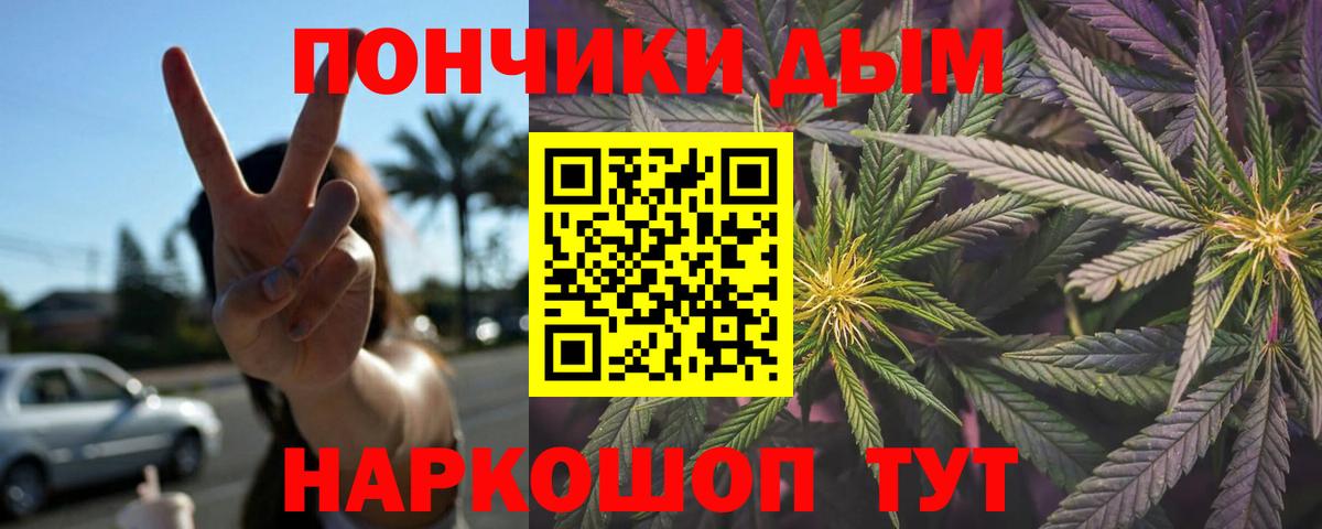 Конопля Bruce Banner  Каннабис план  МАРИХУАНА гибрид  Приморско-Ахтарск 